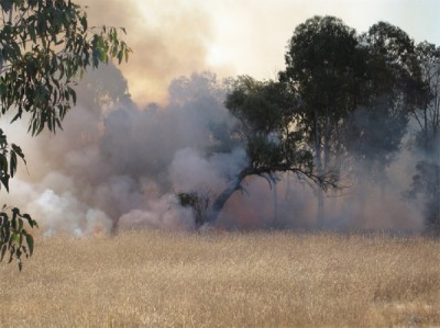 grassfire